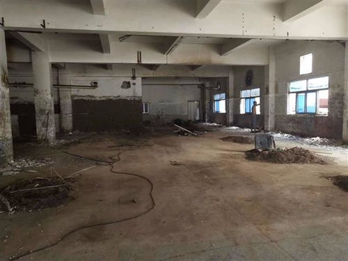 地震無情，數據有心 揭秘開平市幼兒園房屋抗震檢測成本的多維考量